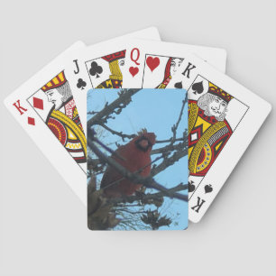 Kaartspel met Kardinaal Pokerkaarten