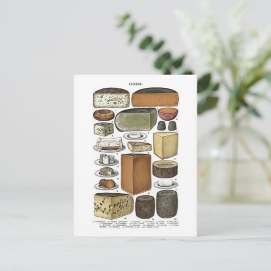 Kaas Briefkaart (Staand voorkant)