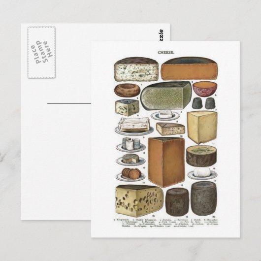 Kaas Briefkaart (Voorkant / Achterkant)
