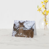 Kaas denken aan je Kaart (Gele Bloem)