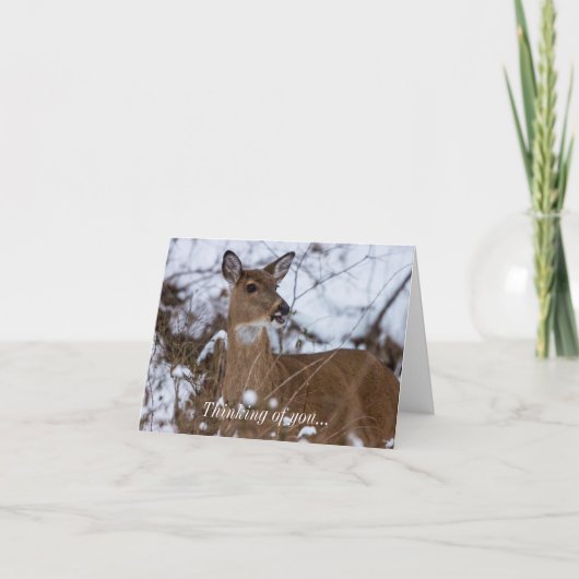 Kaas denken aan je Kaart (Voorkant)