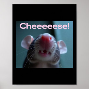 Kaas! Huisdierrat sticker  Poster