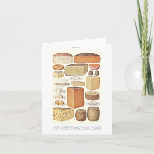  Kaas Illustratie Opmerking Kaart (Voorkant)