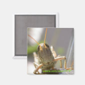 Kaas! Magneet (Voorkant / Achterkant)