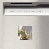 Kaas! Magneet (Insitu (Vaatwasser))