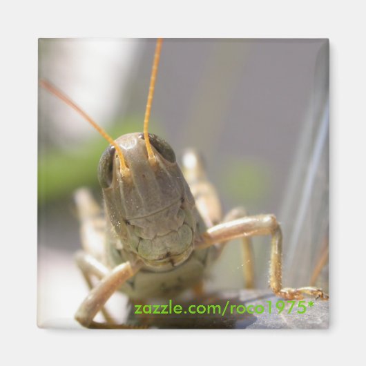 Kaas! Magneet (Voorkant)