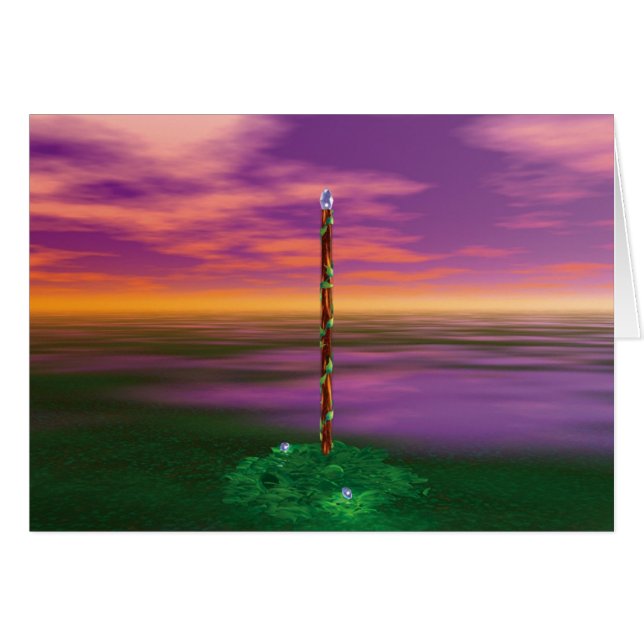 Kaas van Wanden (Voorkant Horizontaal)