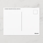 Kaas verkoper in Oaxaca, Mexico Briefkaart (Achterkant)