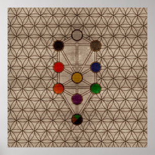 Kabbalah De boom van het Leven op houten textuur Poster