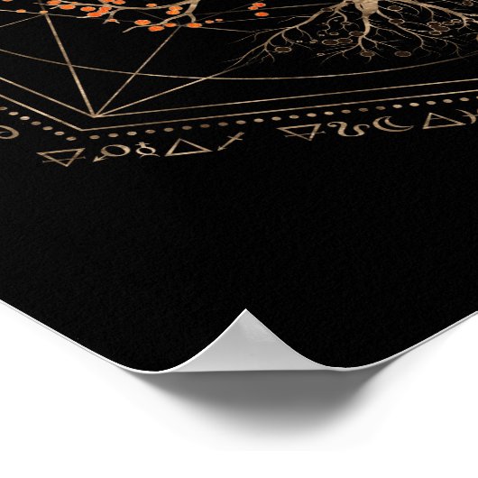 Kabbalah De boom van het leven Poster (Hoek)