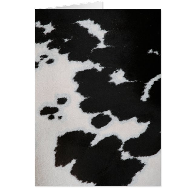 Kabelbont (Voorkant)