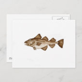 Kabeljauw 1 bruin286.jpg briefkaart (Voorkant / Achterkant)