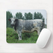 Kabeljauw Belgisch Blauw Muismat (Met muis)