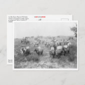 Kabeljauw Briefkaart (Voorkant / Achterkant)