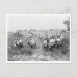 Kabeljauw Briefkaart