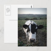 Kabeljauw Briefkaart (Voorkant / Achterkant)