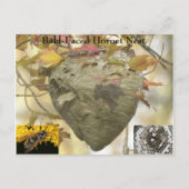 Kabeljauw Briefkaart (Voorkant)