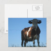 Kabeljauw Briefkaart (Voorkant / Achterkant)