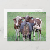 Kabeljauw-Briefkaart Briefkaart (Voorkant / Achterkant)