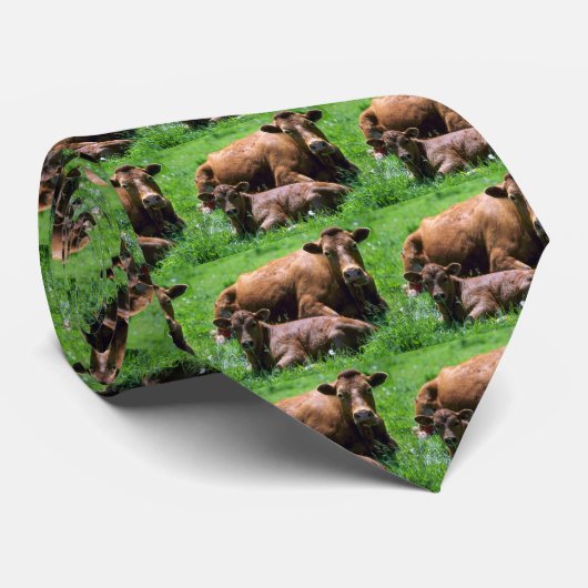 Kabeljauw en kalf stropdas (Opgerold)