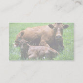 Kabeljauw en kalf visitekaartje (Achterkant)