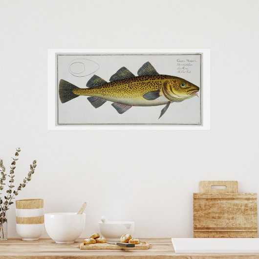 Kabeljauw (Gadus Morhua) bord LXIV uit "Ichthyolog Poster (Keuken)