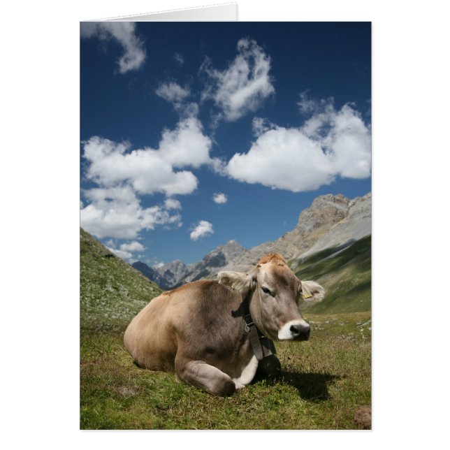 Kabeljauw in pasta (Voorkant)