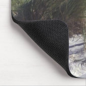 kabeljauw, kabeljauw muismat (Hoek)