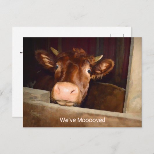 Kabeljauw Land Rustic Barn Funny Boerderij Moving Uitnodiging Briefkaart (Voorkant / Achterkant)
