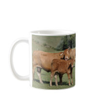 Kabeljauw op haar kalf