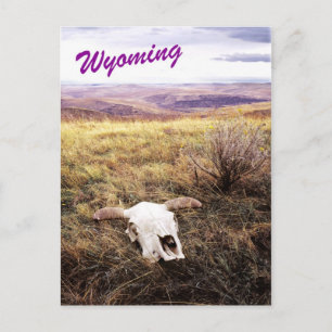 Kabeljauw op het platteland Wyoming Briefkaart
