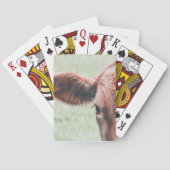 Kabeljauw Pokerkaarten (Achterkant)