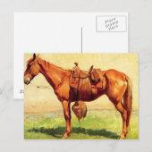 Kabeljauw Pony Briefkaart (Voorkant / Achterkant)