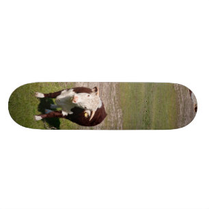 Kabeljauw Skateboard