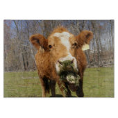 Kabeljauw Snijplank (Voorkant)