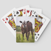 Kabeljauw Speelkaarten (Achterkant)