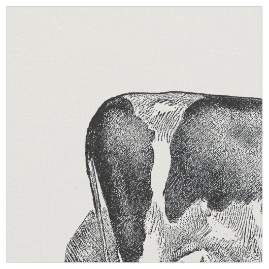 Kabeljauw Stof (Close Up)