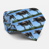 Kabeljauw Stropdas (Opgerold)