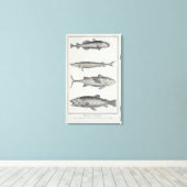 Kabeljauw, tonijn, zalm en sturgeon canvas afdruk (Insitu (Houten vloer))