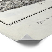 Kabeljauw, tonijn, zalm en sturgeon poster (Hoek)