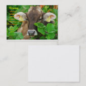 Kabeljauw Visitekaartje (Voorkant / Achterkant)