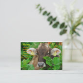 Kabeljauw Visitekaartje (Staand voorkant)