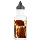 Kabeljauw Waterfles (Links)