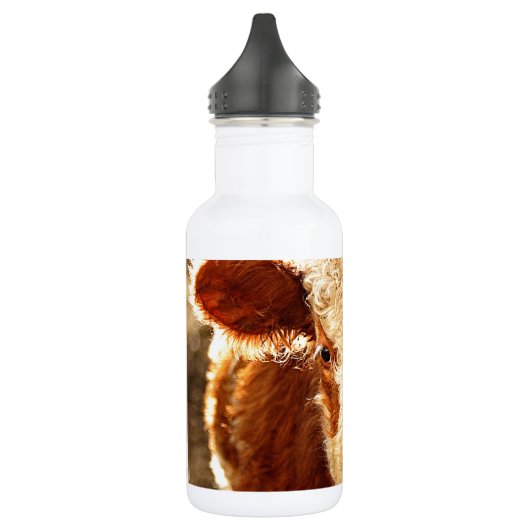 Kabeljauw Waterfles (Links)