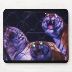 KABELKAAR VOOR TIGERS MUISMAT