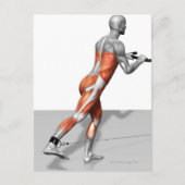 kabeloefening briefkaart (Voorkant)