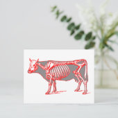 Kabelskelet Briefkaart (Staand voorkant)