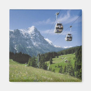 Kabelwagens bij de Jungfrau Magneet