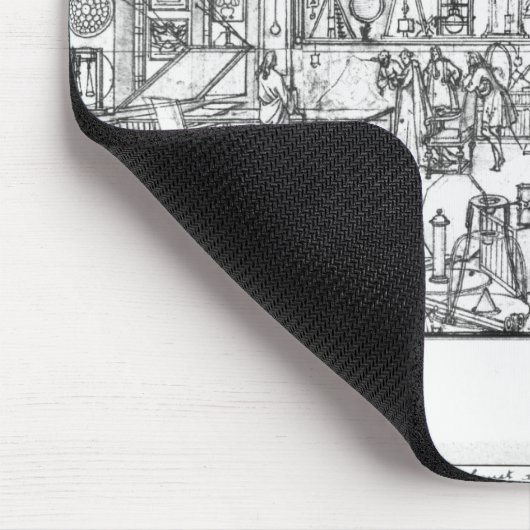 Kabinet of physics, 1687 muismat (Hoek)