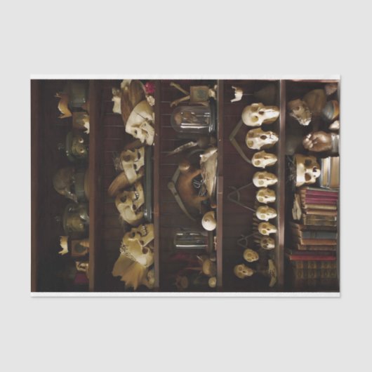 Kabinet van Curiosities Skulls Tissuepapier (Voorkant)